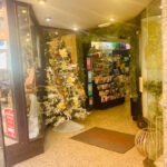 Librería Papelería Plumier