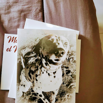 Sara libros y cuentos personalizados